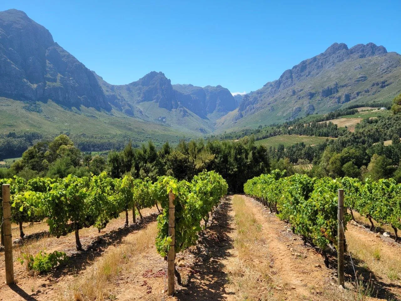 Scenic view of the Banhoek Valley near Stellenbosch, South Africa