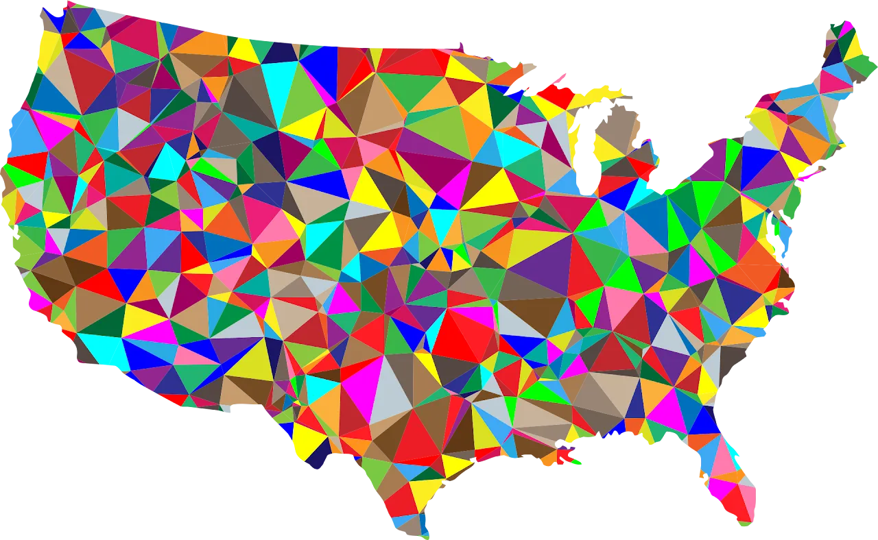 CIC State Statute Project