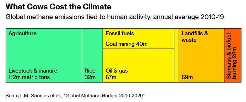 What Cows Cost the Climate - Bloomberg