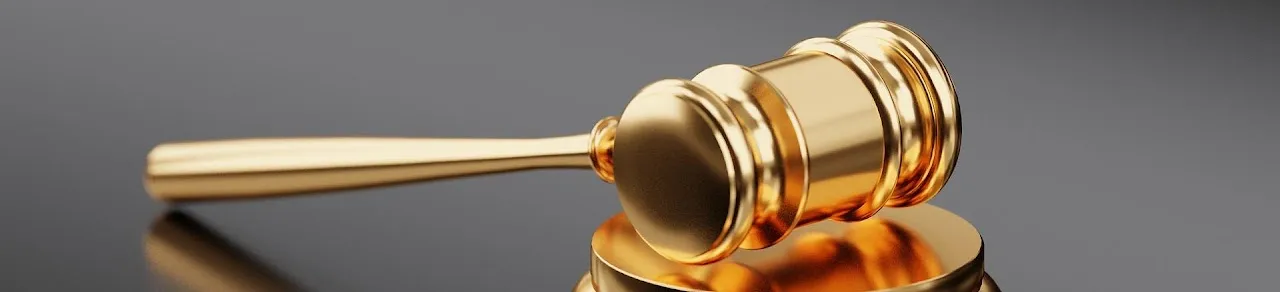 Parliamentary procedure golden gavel