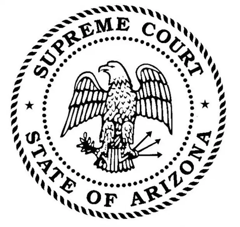 Arizona courts public access case lookup portal