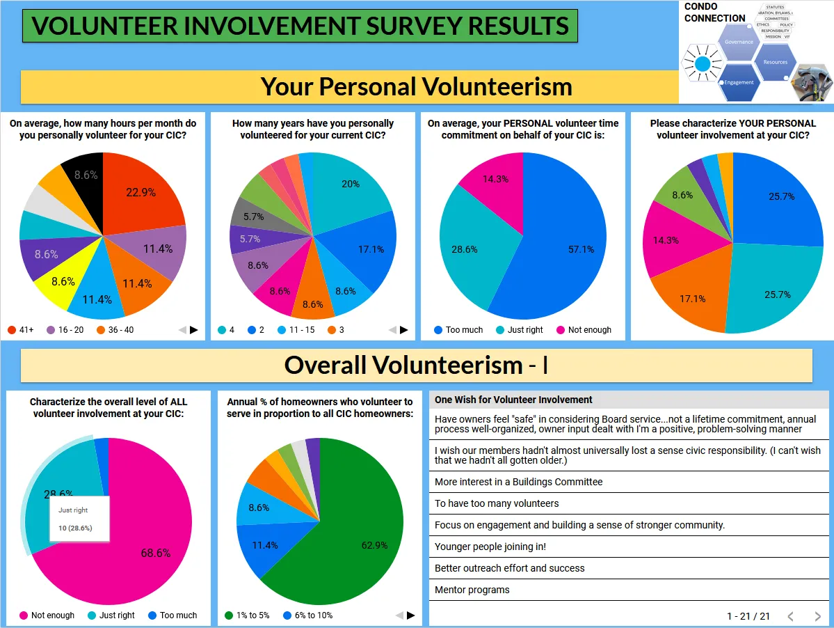 Your Personal Volunteerism survey results