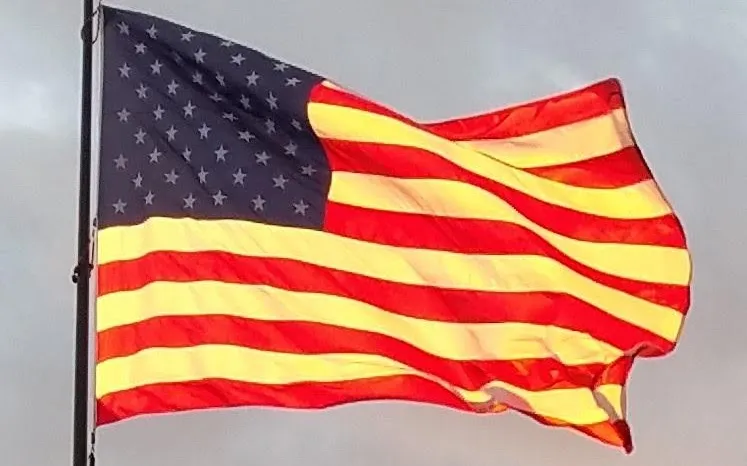 FREE SPEECH SIGNS, FLAGS & SYMBOLS